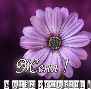 Скачать бесплатно Картинка с днем рождения Женя девочке на сайте WishesCards.ru