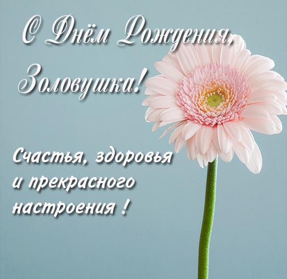 Скачать бесплатно Картинка с днем рождения золовке от невестки на сайте WishesCards.ru