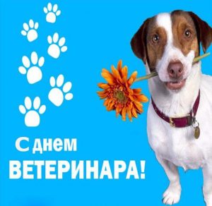 Скачать бесплатно Картинка с днем ветеринара на сайте WishesCards.ru
