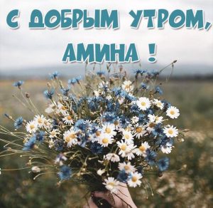 Скачать бесплатно Картинка с добрым утром Амина на сайте WishesCards.ru