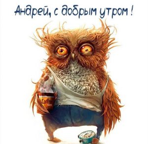 Скачать бесплатно Картинка с добрым утром Андрей на сайте WishesCards.ru