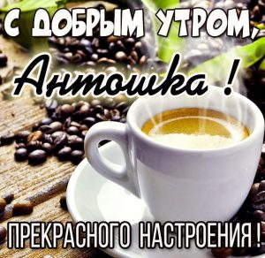 Скачать бесплатно Картинка с добрым утром Антошка на сайте WishesCards.ru