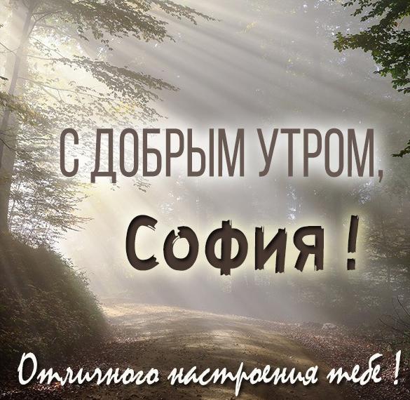 Скачать бесплатно Картинка с добрым утром для Софии на сайте WishesCards.ru