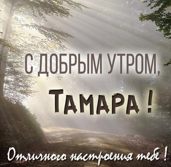 Скачать бесплатно Картинка с добрым утром для Тамары на сайте WishesCards.ru