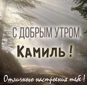 Скачать бесплатно Картинка с добрым утром Камиль на сайте WishesCards.ru