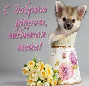 Скачать бесплатно Картинка с добрым утром прикольная любимой жене на сайте WishesCards.ru