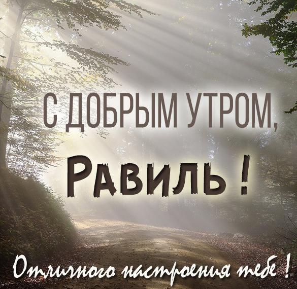 Скачать бесплатно Картинка с добрым утром Равиль на сайте WishesCards.ru
