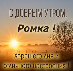 Скачать бесплатно Картинка с добрым утром Ромка на сайте WishesCards.ru
