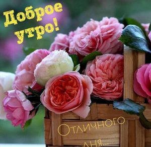 Скачать бесплатно Картинка с добрым утром с цветами красивая на сайте WishesCards.ru