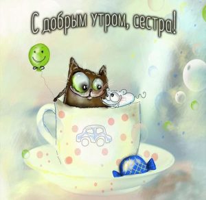 Скачать бесплатно Картинка с добрым утром смешная сестре на сайте WishesCards.ru