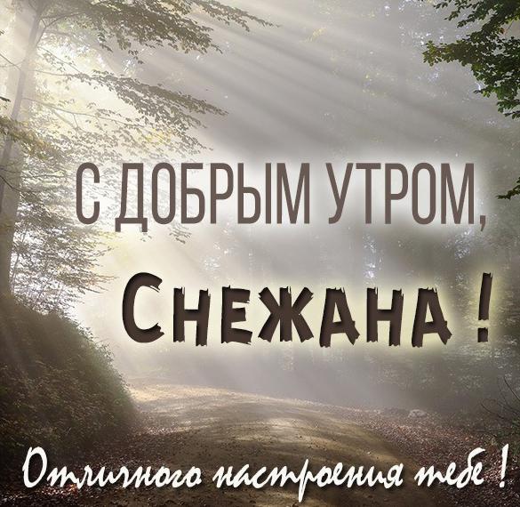 Скачать бесплатно Картинка с добрым утром Снежана на сайте WishesCards.ru