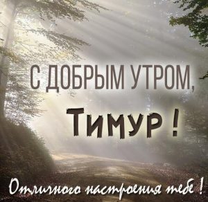 Скачать бесплатно Картинка с добрым утром Тимур на сайте WishesCards.ru