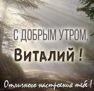 Скачать бесплатно Картинка с добрым утром Виталий на сайте WishesCards.ru