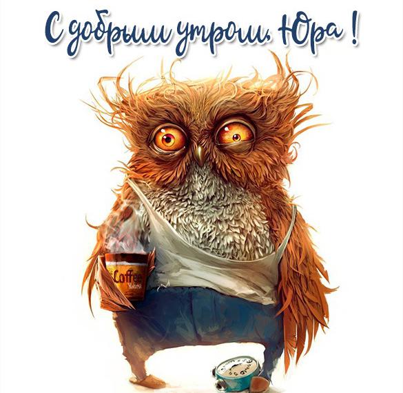 Скачать бесплатно Картинка с добрым утром Юра на сайте WishesCards.ru