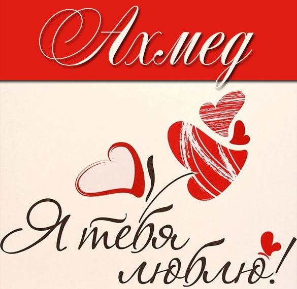 Скачать бесплатно Картинка с именем Ахмед я тебя люблю на сайте WishesCards.ru