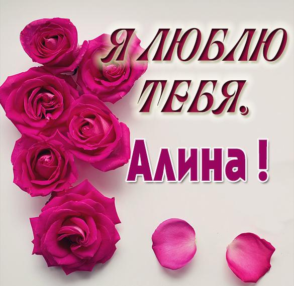 Скачать бесплатно Картинка с именем Алина я тебя люблю на сайте WishesCards.ru