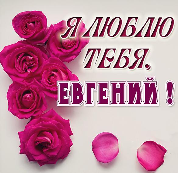 Скачать бесплатно Картинка с именем Евгений я тебя люблю на сайте WishesCards.ru