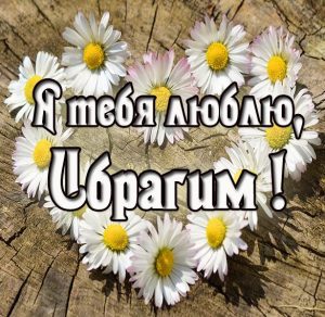 Скачать бесплатно Картинка с именем Ибрагим я тебя люблю на сайте WishesCards.ru