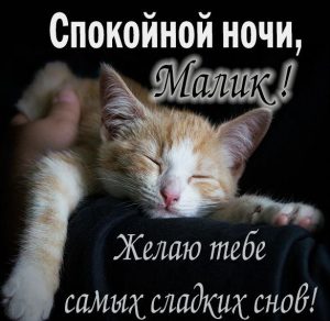 Скачать бесплатно Картинка с именем Малик спокойной ночи на сайте WishesCards.ru