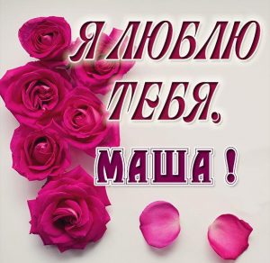 Скачать бесплатно Картинка с именем Маша я тебя люблю на сайте WishesCards.ru