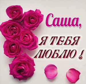 Скачать бесплатно Картинка с именем Саша я тебя люблю на сайте WishesCards.ru