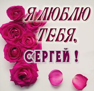 Скачать бесплатно Картинка с именем Сергей я тебя люблю на сайте WishesCards.ru
