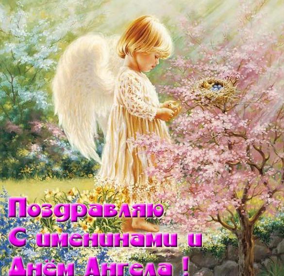 Скачать бесплатно Картинка с именинами с днем ангела на сайте WishesCards.ru