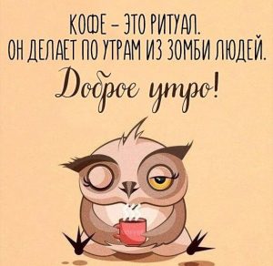 Скачать бесплатно Картинка с кофе доброе утро смешная на сайте WishesCards.ru