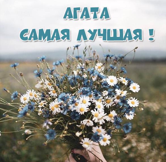 Скачать бесплатно Картинка с надписью Агата лучшая на сайте WishesCards.ru