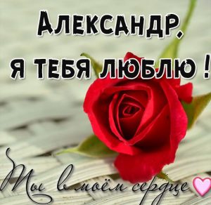Скачать бесплатно Картинка с надписью Александр я тебя люблю на сайте WishesCards.ru