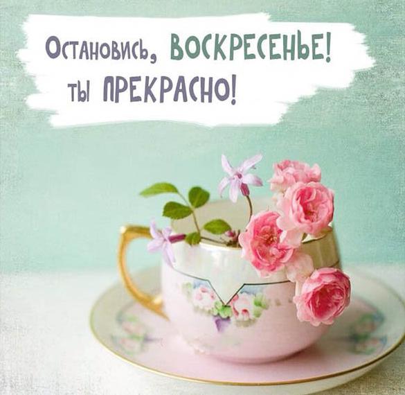 Скачать бесплатно Картинка с надписью про воскресный день на сайте WishesCards.ru