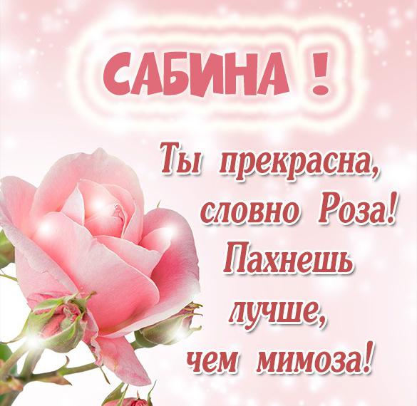 Скачать бесплатно Картинка с надписью Сабина на сайте WishesCards.ru
