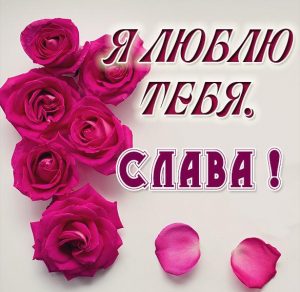 Скачать бесплатно Картинка с надписью Слава я тебя люблю на сайте WishesCards.ru