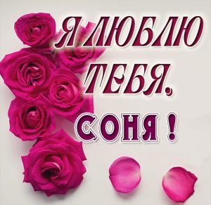 Скачать бесплатно Картинка с надписью Соня я тебя люблю на сайте WishesCards.ru