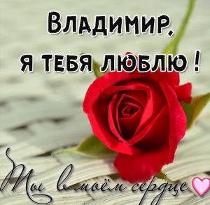 Скачать бесплатно Картинка с надписью Владимир я тебя люблю на сайте WishesCards.ru
