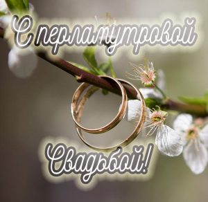 Скачать бесплатно Картинка с перламутровой свадьбой на сайте WishesCards.ru