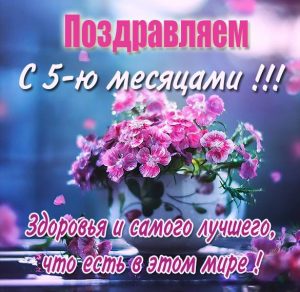 Скачать бесплатно Картинка с поздравлением на 5 месяцев на сайте WishesCards.ru