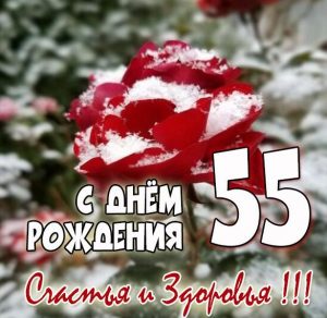 Скачать бесплатно Картинка с поздравлением на 55 лет на сайте WishesCards.ru