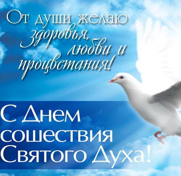 Скачать бесплатно Картинка с поздравлением на Духов день на сайте WishesCards.ru