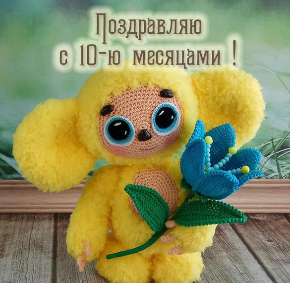 Скачать бесплатно Картинка с поздравлением с 10 месяцами на сайте WishesCards.ru