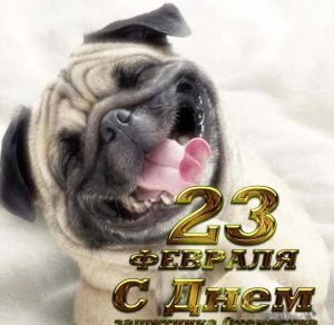 Скачать бесплатно Картинка с поздравлением с 23 февраля с приколом на сайте WishesCards.ru