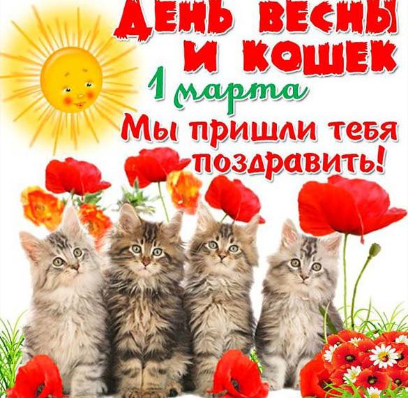 Скачать бесплатно Картинка с поздравлением с днем кошек на сайте WishesCards.ru