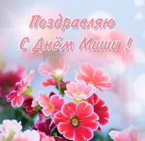 Скачать бесплатно Картинка с поздравлением с днем Миши на сайте WishesCards.ru