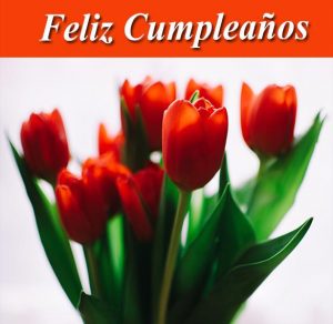 Скачать бесплатно Картинка с поздравлением с днем рождения на испанском на сайте WishesCards.ru