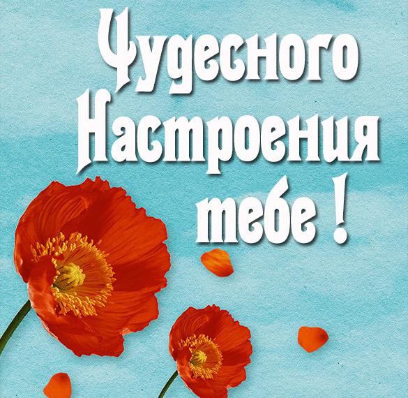 Скачать бесплатно Картинка с пожеланием чудесного настроения на сайте WishesCards.ru