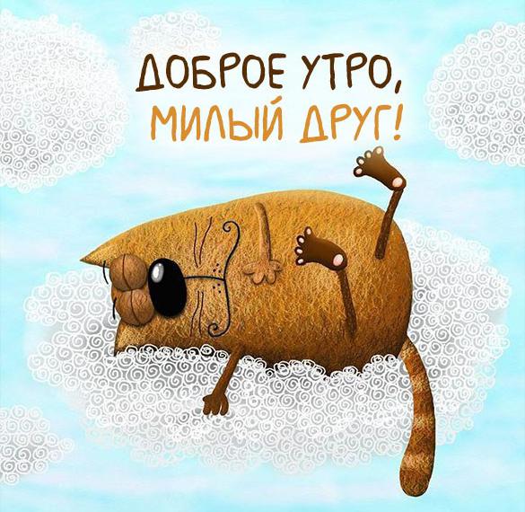 Скачать бесплатно Картинка с приколом доброе утро милый друг на сайте WishesCards.ru