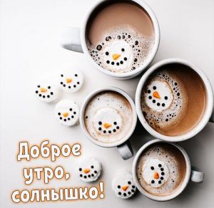 Скачать бесплатно Картинка с приколом доброе утро солнышко на сайте WishesCards.ru