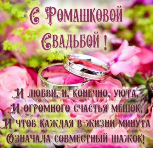 Скачать бесплатно Картинка с ромашковой свадьбой на сайте WishesCards.ru