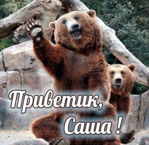 Скачать бесплатно Картинка Саша приветик на сайте WishesCards.ru