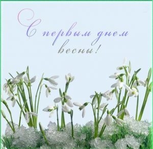 Скачать бесплатно Картинка сегодня первый день весны на сайте WishesCards.ru